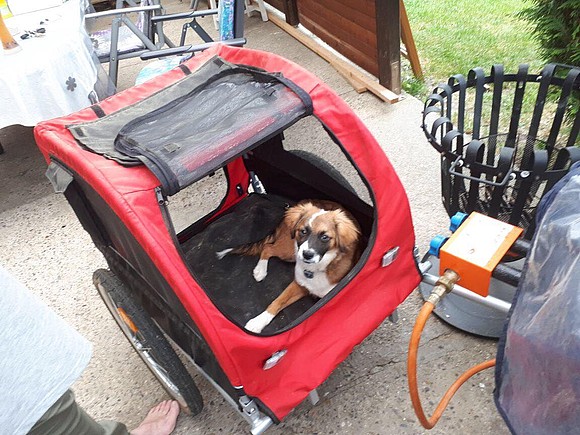 Auf den Hund gekommen 1 - Hunde-Fahrrad-Anhänger selber bauen