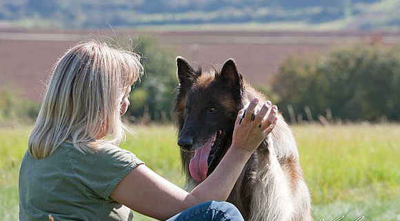 Habe mit ich hund getrieben meinem es Wie gehe