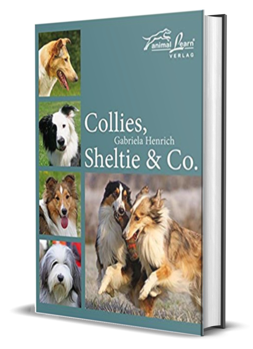 Collies-Sehltie-und-Co-Henrich