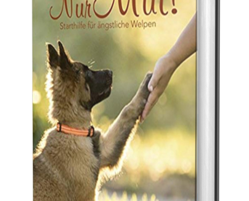 Welpen Archive Easy Dogs