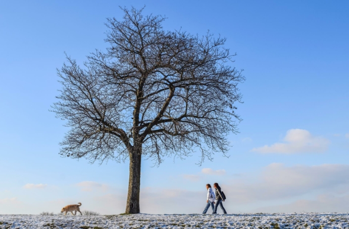 Beziehung-Mensch-Hund