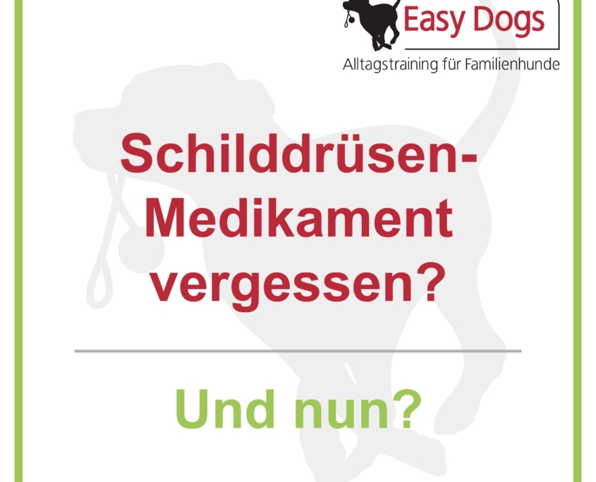 Schilddrüsenhormon Archive Easy Dogs