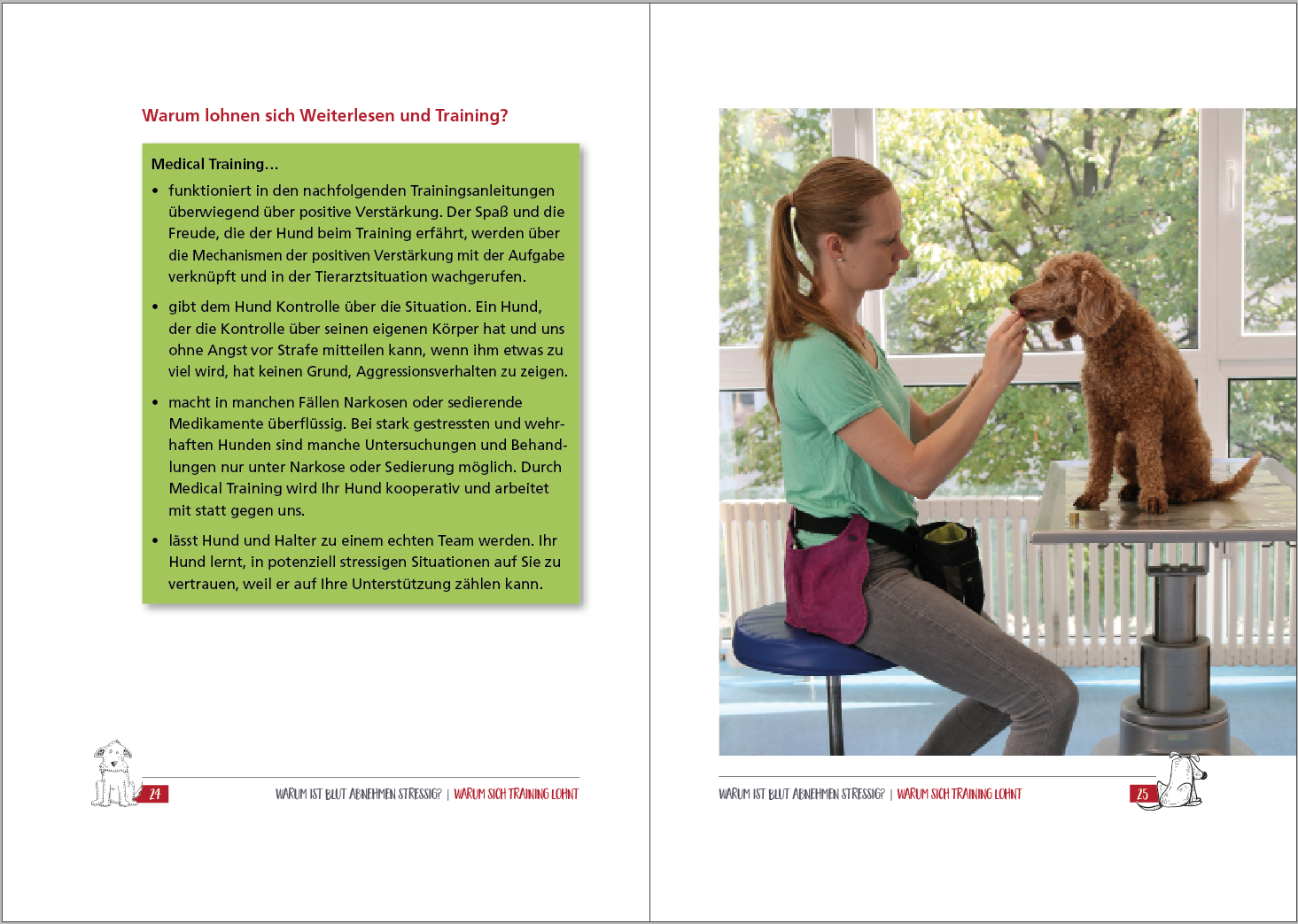 Blut abnehmen beim Hund trainieren Easy Dogs