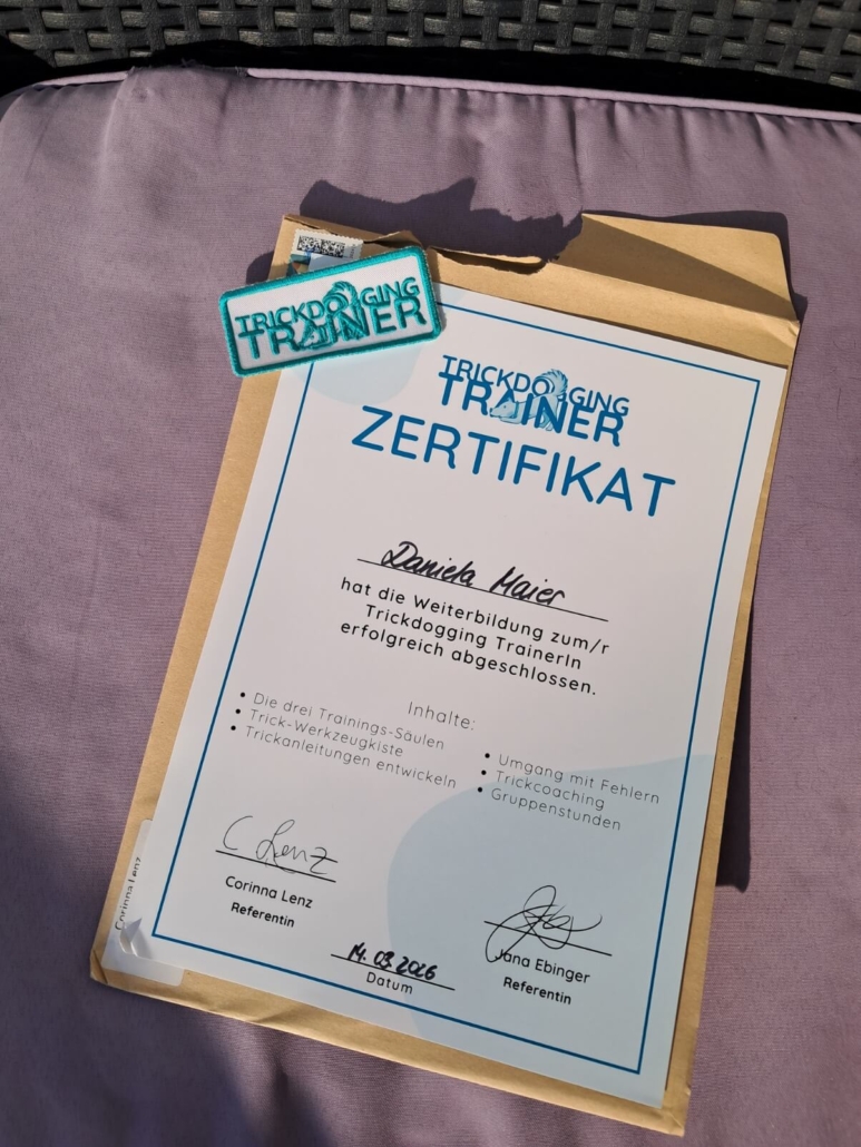 Trickdogging Trainer Zertifikat vom März 2026