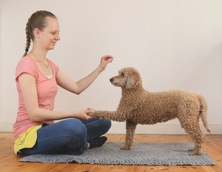 Wie bringe ich meinem Hund bei ein Verhalten länger zu zeigen oder ein