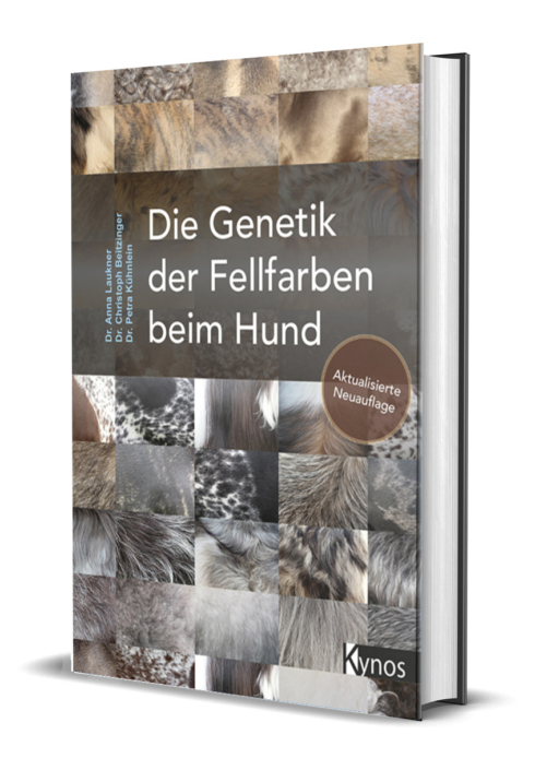 Die Genetik der Fellfarben beim Hund-Easy-Dogs