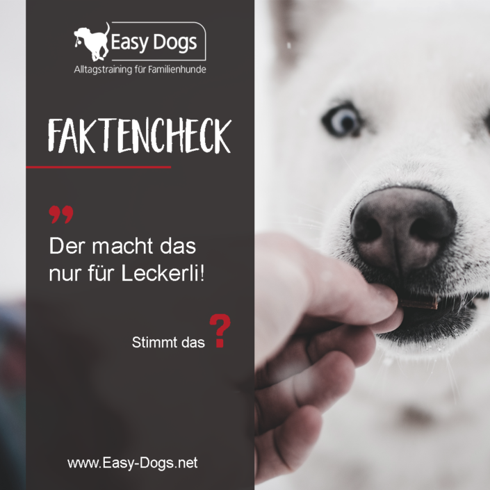 Faktencheck1_Der-macht-das-für-Leckerli