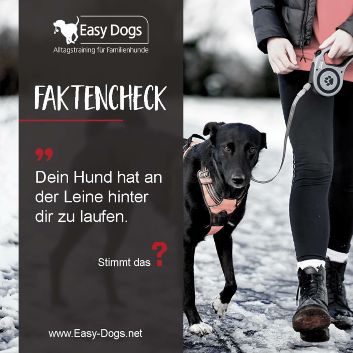 Faktencheck2