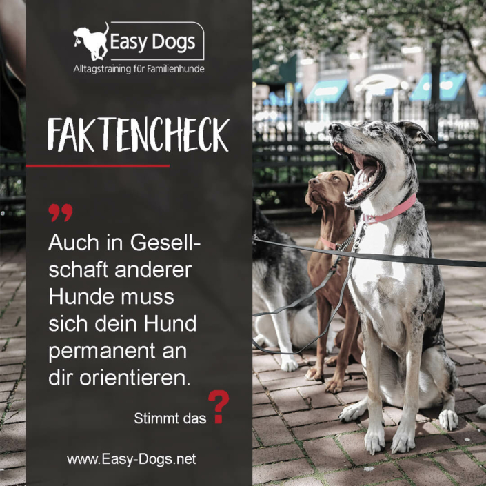 Faktencheck3
