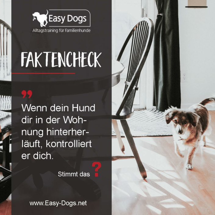 Faktencheck6