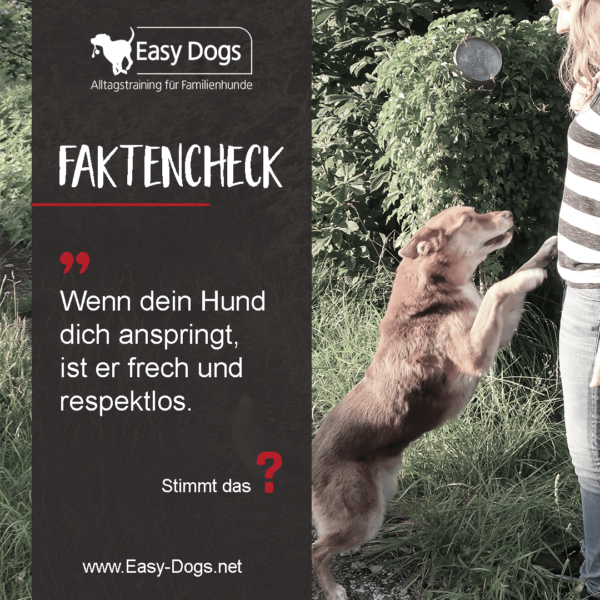 Kind 4 Frech Und Respektlos