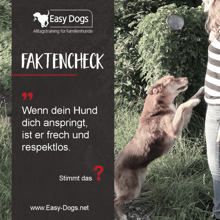 Faktencheck_5_easydogs_carolin-hess