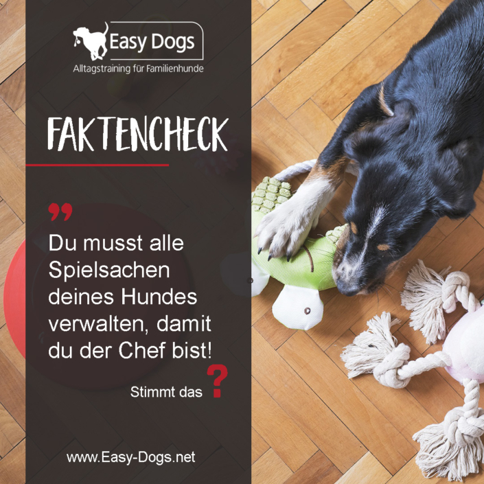 Faktencheck_Spielsachen_verwalten_Easy-Dogs