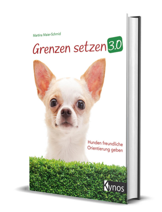 Grenzen-setzen-Maier-Schmid