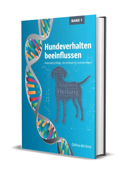 Hundeverhalten-beeinflussen-del-amo