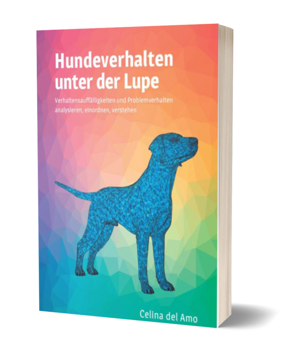 Hundeverhalten-unter-der-Lupe-del-amo
