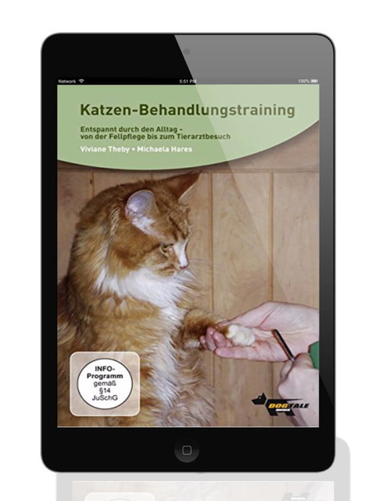 Katzen-Behandlungstraining-Theby