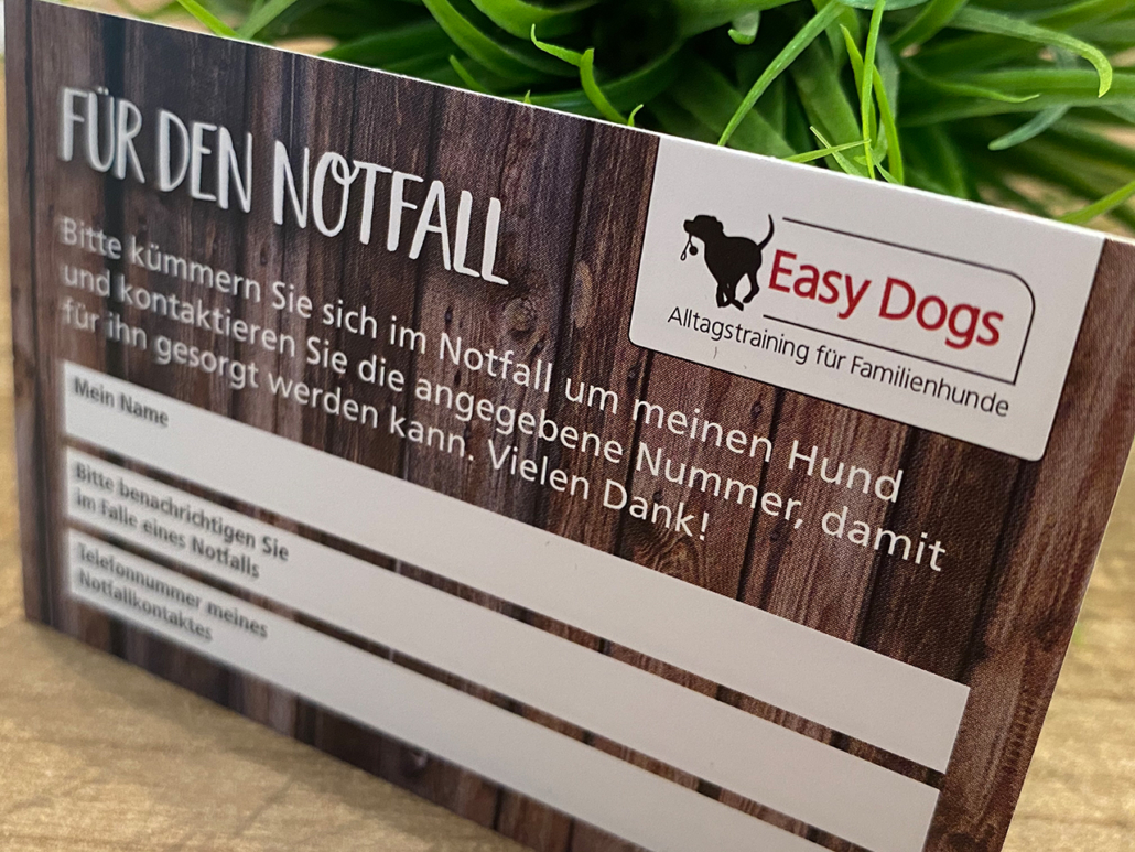 First Aid Kit von Alcott Adventure: Erste-Hilfe-Set für Hunde im Test -  Easy Dogs