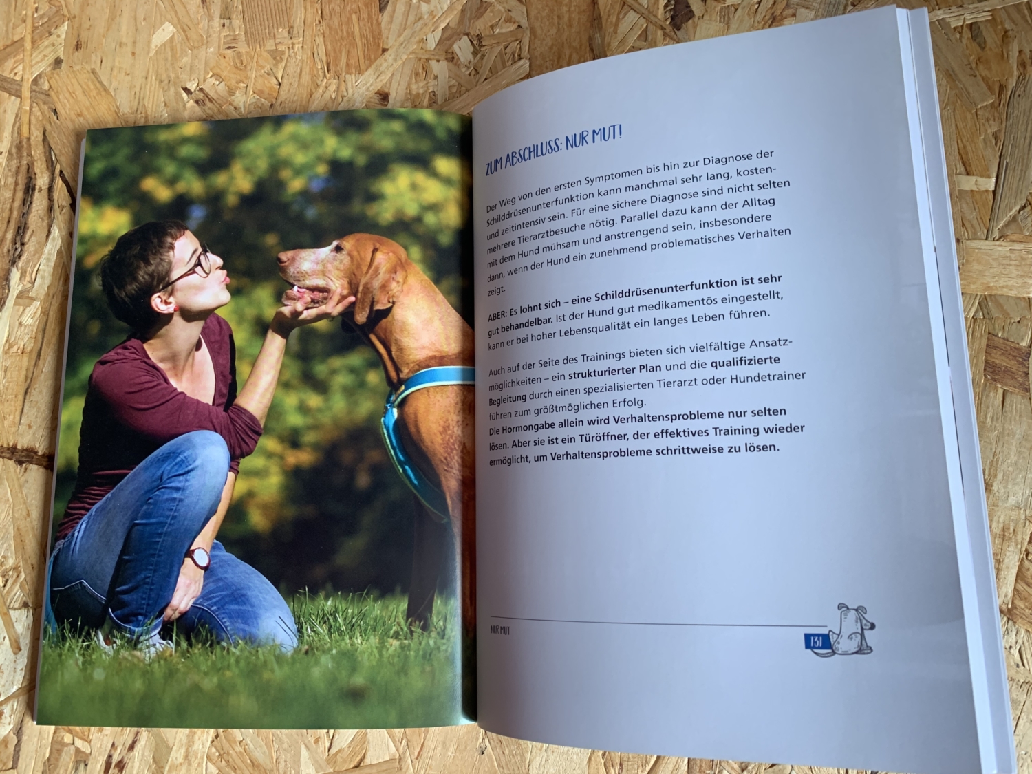 Schilddrüsenunterfunktion beim Hund häufige Fragen und Antworten für