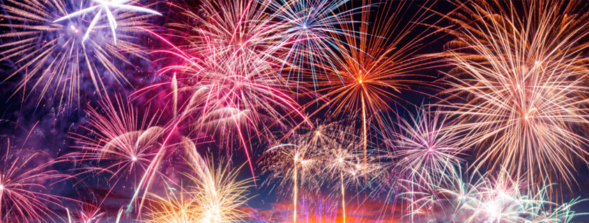 Silvester-Begleitung-Angsthund-Welpe-Tierschutz-Junghund-Bettina-Bombosch-online-845x321