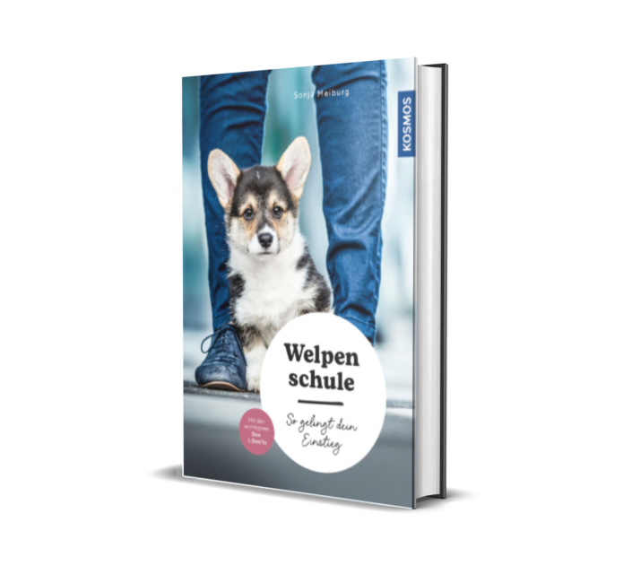 Welpenschule-Sonja-Meiburg-Easydogs-Kosmos