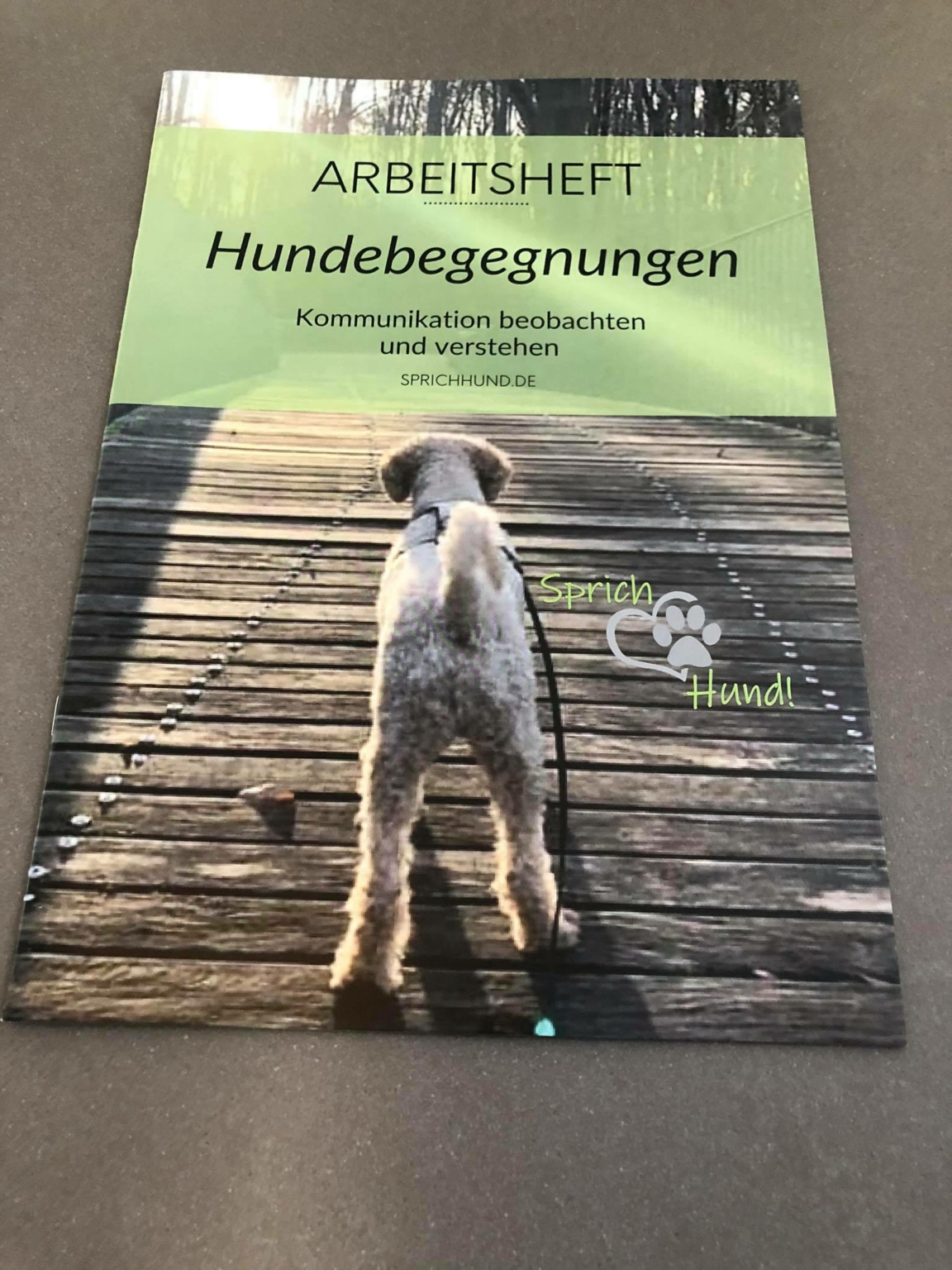Kind 4 Frech Und Respektlos