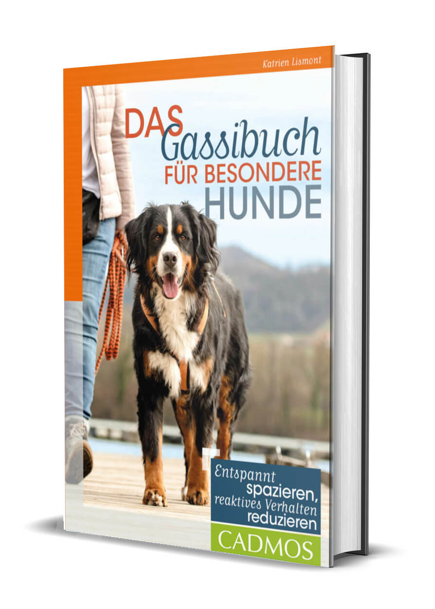 Das Gassibuch für besondere Hunde, Katrien Lismont -
