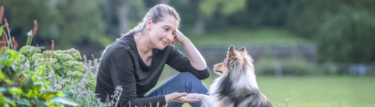 easy-dogs-hundeerziehung-hütehund-verhaltensproblem-hundecoaching-hundeschule