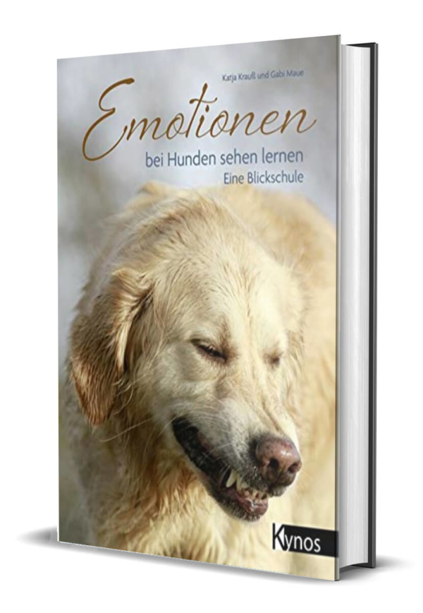 Emotionen Bei Hunden Sehen Lernen Gebraucht Emotionen bei Hunden sehen lernen. Eine Blickschule. Buch von Katja
