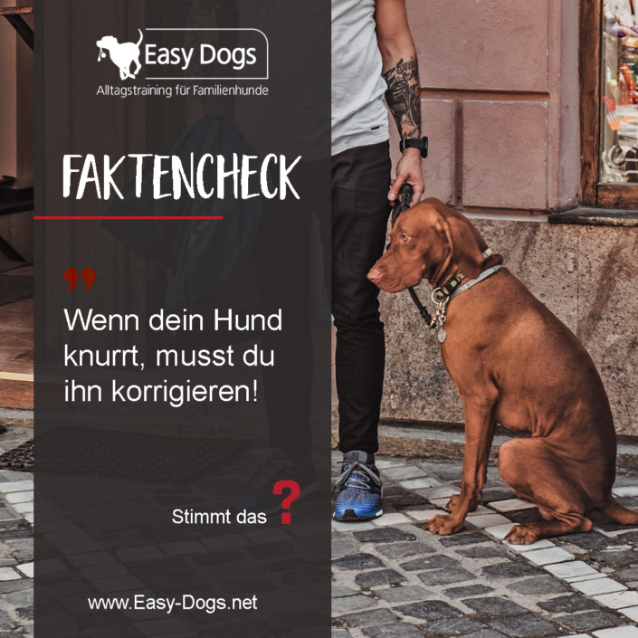 faktencheck10
