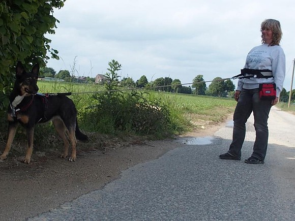 50 M Hundetrainingsleine – 2 Cm Breit, Leicht, Langlebig, Für Mehr Bewegungsfreiheit