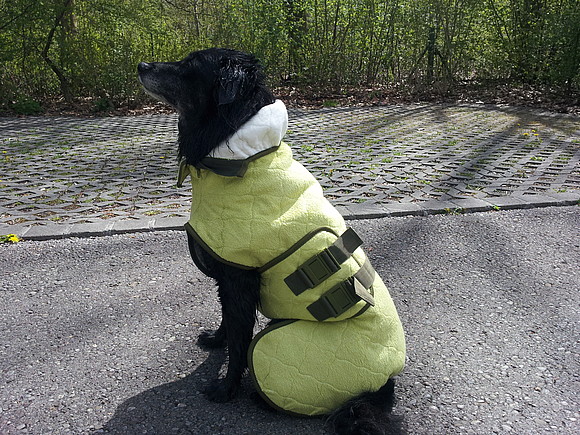 hundekissen wolke 7 Wolke 7