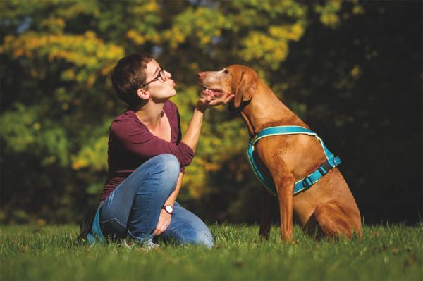 SchilddrüsenUnterfunktion beim Hund Ursachen, Symptome und Therapie
