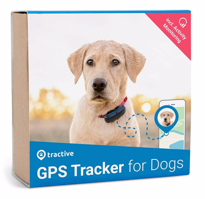 Haben Sie dass Ihr Hund entlaufen könnte? tractive – der GPS-Tracker für Hunde im Test - Easy Dogs