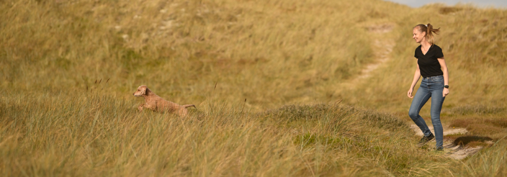 trainingsphilosophie-easy-dogs-berlin