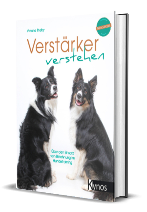 verstaerker-verstehen-theby