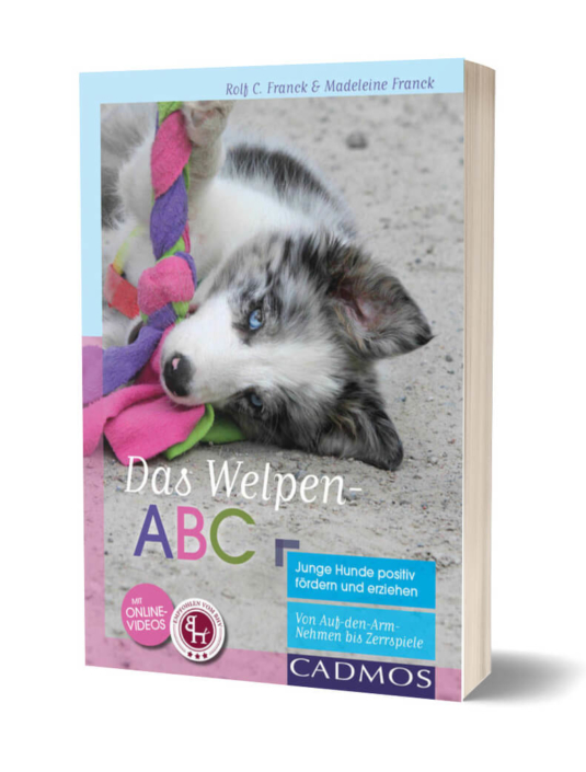 welpen-abc-franck